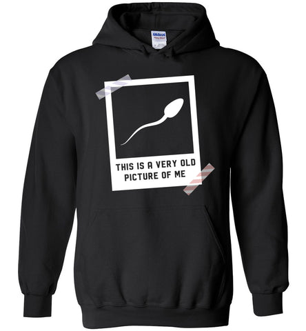 This Is A Very Old Picture Of Me Hoodie