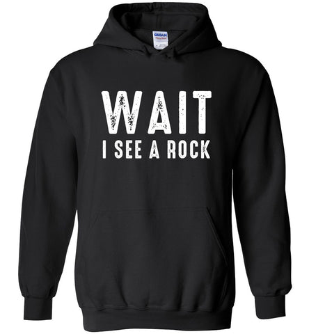 Wait I See A Rock Hoodie