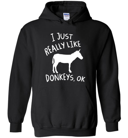 I Just Really Like Donkeys Ok? Hoodie