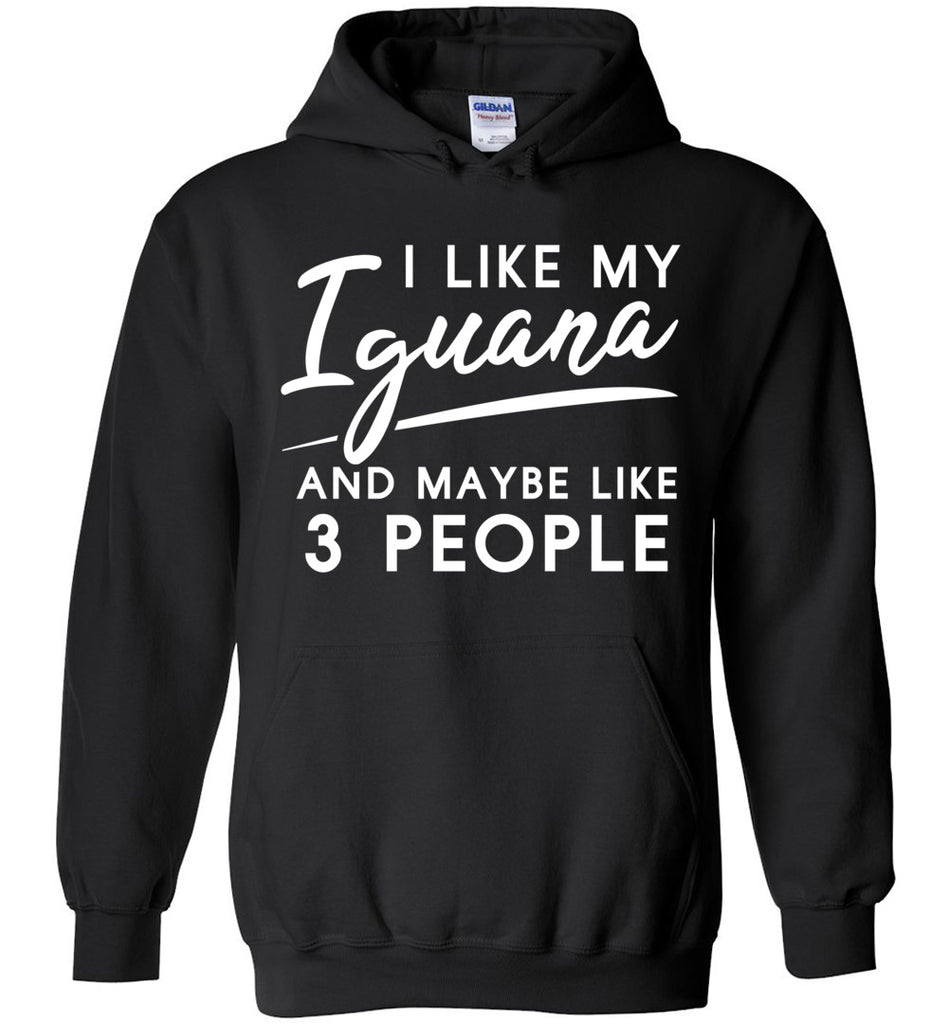 I Like My Iguana And Maybe Like 3 People Hoodie