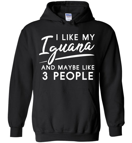 I Like My Iguana And Maybe Like 3 People Hoodie