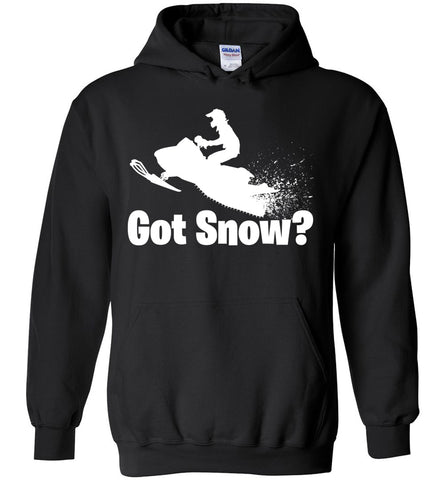 Got Snow? - Winter Sports Hoodie