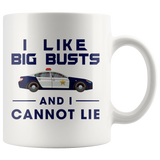 I Like Big Busts And I Cannot Lie 11oz White Mug